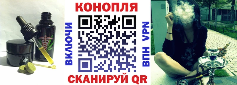 OMG вход  Электрогорск  Печенье с ТГК конопля  наркотики 