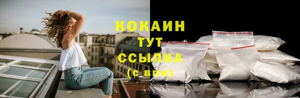прущие крисы Вяземский