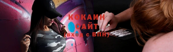 прущие крисы Вяземский