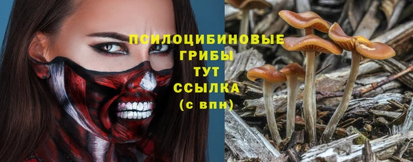 прущие крисы Вяземский