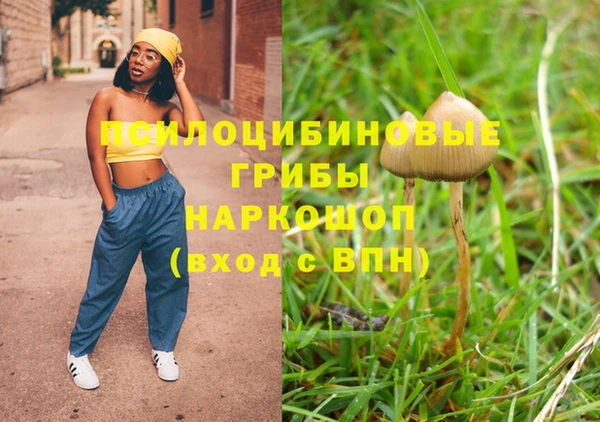 прущие крисы Вяземский