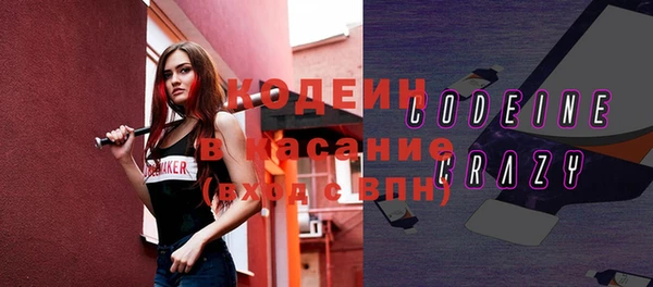 прущие крисы Вяземский