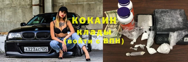 прущие крисы Вяземский