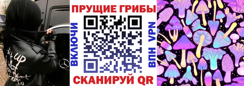 Галлюциногенные грибы Psilocybe  Электрогорск 